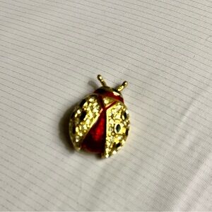 Red and Gold Ladybug Brooch